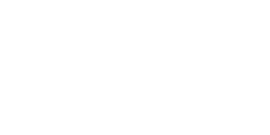 Bud Light